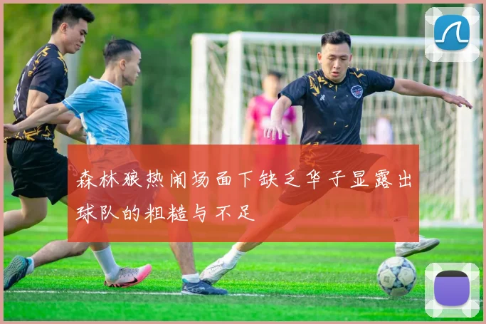森林狼热闹场面下缺乏华子显露出球队的粗糙与不足