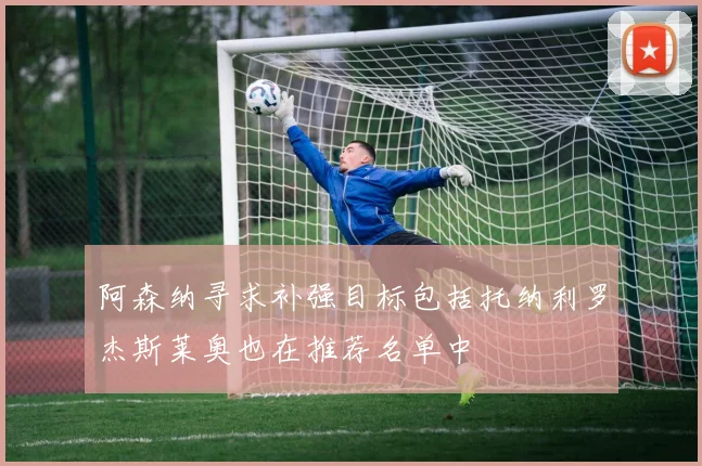 阿森纳寻求补强目标包括托纳利罗杰斯莱奥也在推荐名单中
