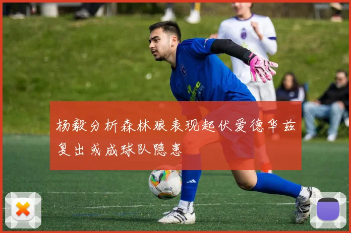 杨毅分析森林狼表现起伏爱德华兹复出或成球队隐患