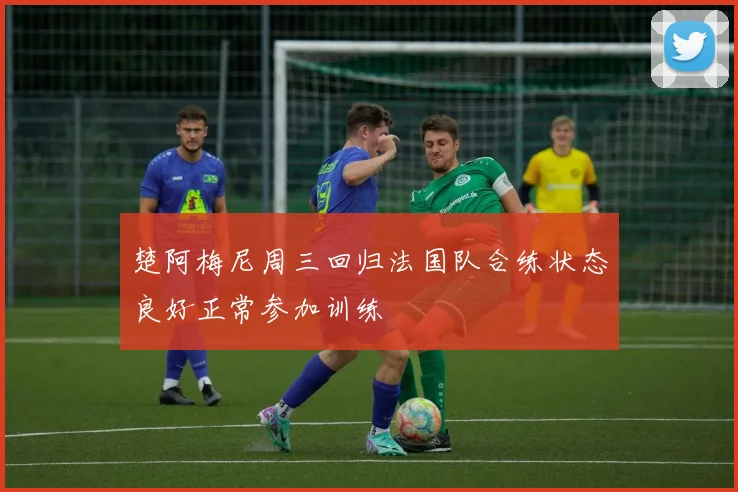 楚阿梅尼周三回归法国队合练状态良好正常参加训练