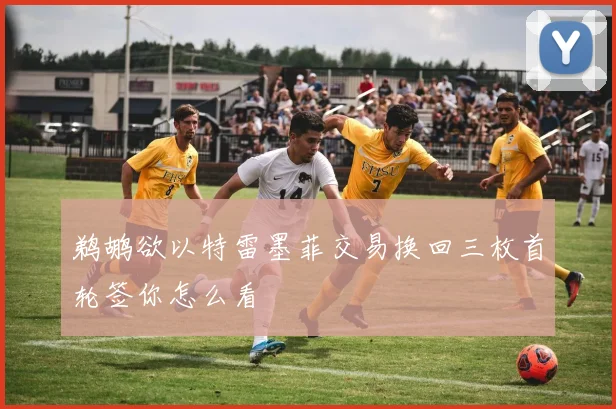 鹈鹕欲以特雷墨菲交易换回三枚首轮签你怎么看